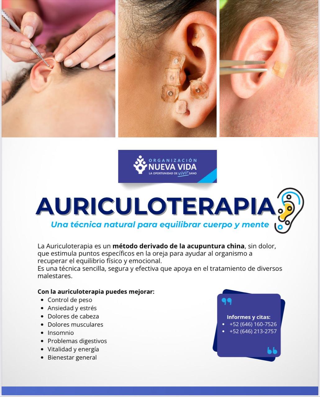 Taller Auriculoterapia